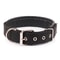 Solid Nylon Dog Collar 8