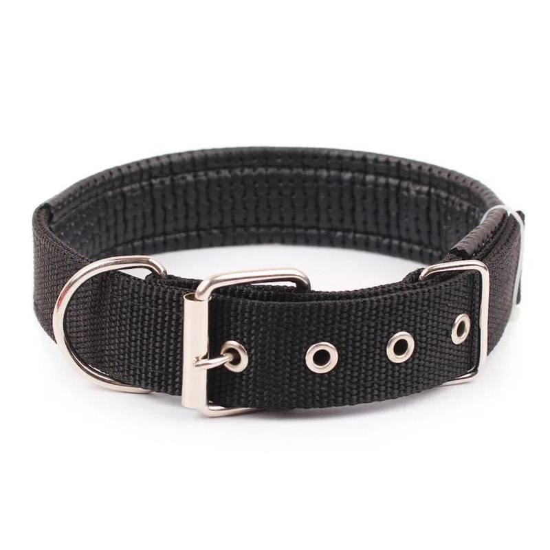 Solid Nylon Dog Collar 8