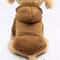 Pet Dog Hoodies 11