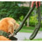 Nylon Mountain Climbing Dog Leash 0