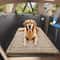 Universal HardBottom Dog Car Protector HeavyDuty AntiSlip AntiBite Travel Mat 4