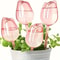 Tulip Watering Globes For Plants Automatic SelfWatering System For Indoor Outdoor Use 0