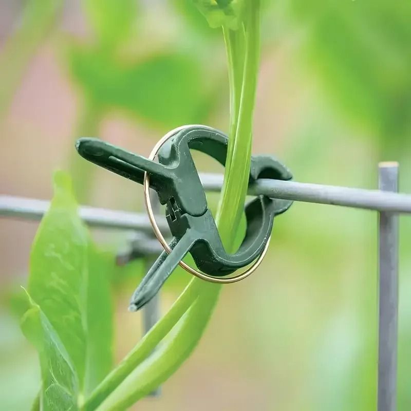 20pcs Adjustable Plant Clips Reusable Garden Supports For Vines Tomatoes Flowers 2