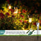 10Pcs Solar Outdoor Garden Lights Waterproof Decorative Landscape Path Lamps 3