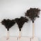Natural Ostrich Feather Duster Soft Dust Removal Brush With Wooden Handle 2