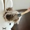 Natural Ostrich Feather Duster Soft Dust Removal Brush With Wooden Handle 4