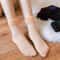 Thermal Velvet Snow Socks UltraThick Cashmere Wool Blend Indoor Floor Socks 2