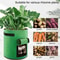 Felt Potato Planting Bag NonWoven Vegetable Seedling Grow Bag Large Diameter Planter 3