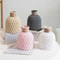 Rope Design Decorative Plastic Vase Modern Porcelain Imitation Flowerpot For Home Decor 1