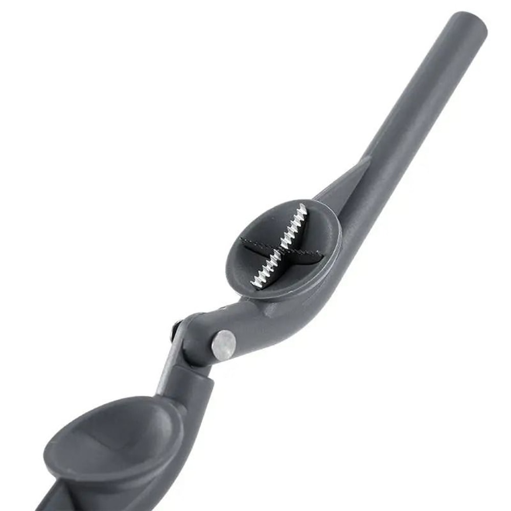 Chestnut Open Clip Multipurpose Nutcracker Shelling Cutter 4