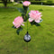 Solar Peony Garden Lights 3Head Waterproof Outdoor Pathway Decor 5