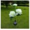Solar Peony Garden Lights 3Head Waterproof Outdoor Pathway Decor 7