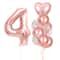 10Piece Rose Golden Foil Balloon Set 11