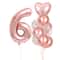 10Piece Rose Golden Foil Balloon Set 13