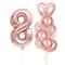 10Piece Rose Golden Foil Balloon Set 15