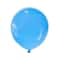 Premium Matte Latex Balloon Set 10Piece MultiSize Pack 8