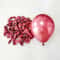 10Piece 10Inch Metallic Chrome Latex Balloons 6