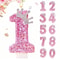 Princess Crown Pink Numeral Cake Candle 0
