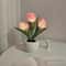 Everlasting Garden LED Tulip Ambient Night Light 4