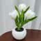 Everlasting Garden LED Tulip Ambient Night Light 5
