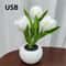 Everlasting Garden LED Tulip Ambient Night Light 6