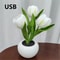 Everlasting Garden LED Tulip Ambient Night Light 6