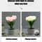 Romantic Simulation Tulip Bouquet LED Table Lamp 4