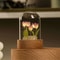 Handmade Blooming Tulip Glow Bedside Lamp 9