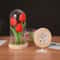 Everlasting Garden Glass Dome Tulip Night Light 5