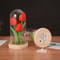 Everlasting Garden Glass Dome Tulip Night Light 5