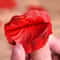 Everlasting Silk Rose Petals 1