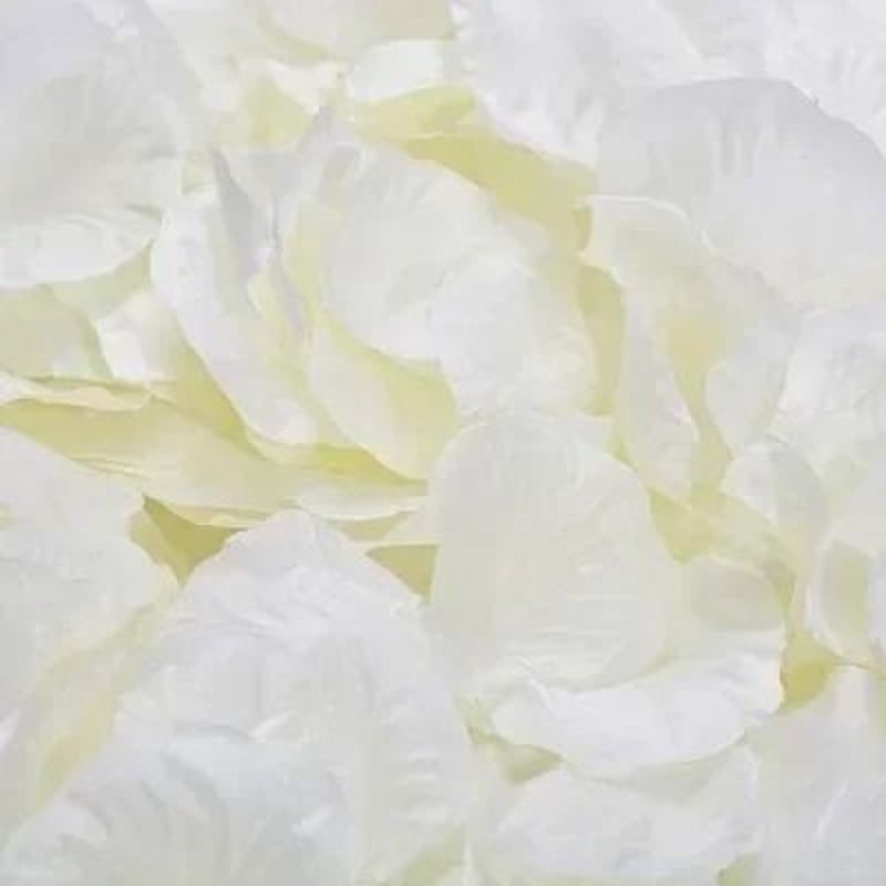 Everlasting Silk Rose Petals 6