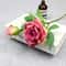 Heritage Retro Silk Rose Branch 12