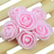 CloudTouch Mini PE Rose Heads 11