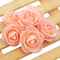 CloudTouch Mini PE Rose Heads 13