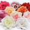 Heritage Silk Grand Rose Heads 10