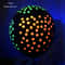 Fluorescent GlowintheDark Balloons 10 Pcs Luminous Heart Decor 9
