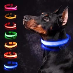 led glowing dog collar – adjustable night safety luminous collar