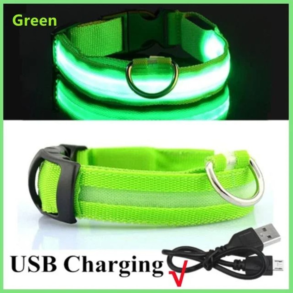 LED Glowing Dog Collar Adjustable Night Safety Luminous Collar 12