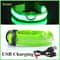 LED Glowing Dog Collar Adjustable Night Safety Luminous Collar 12