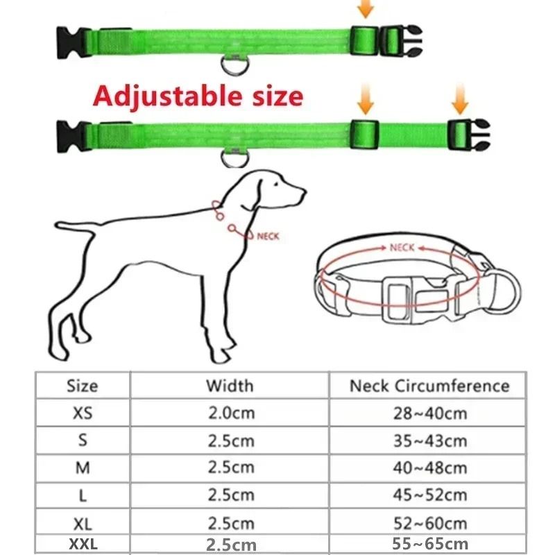 LED Glowing Dog Collar Adjustable Night Safety Luminous Collar 2
