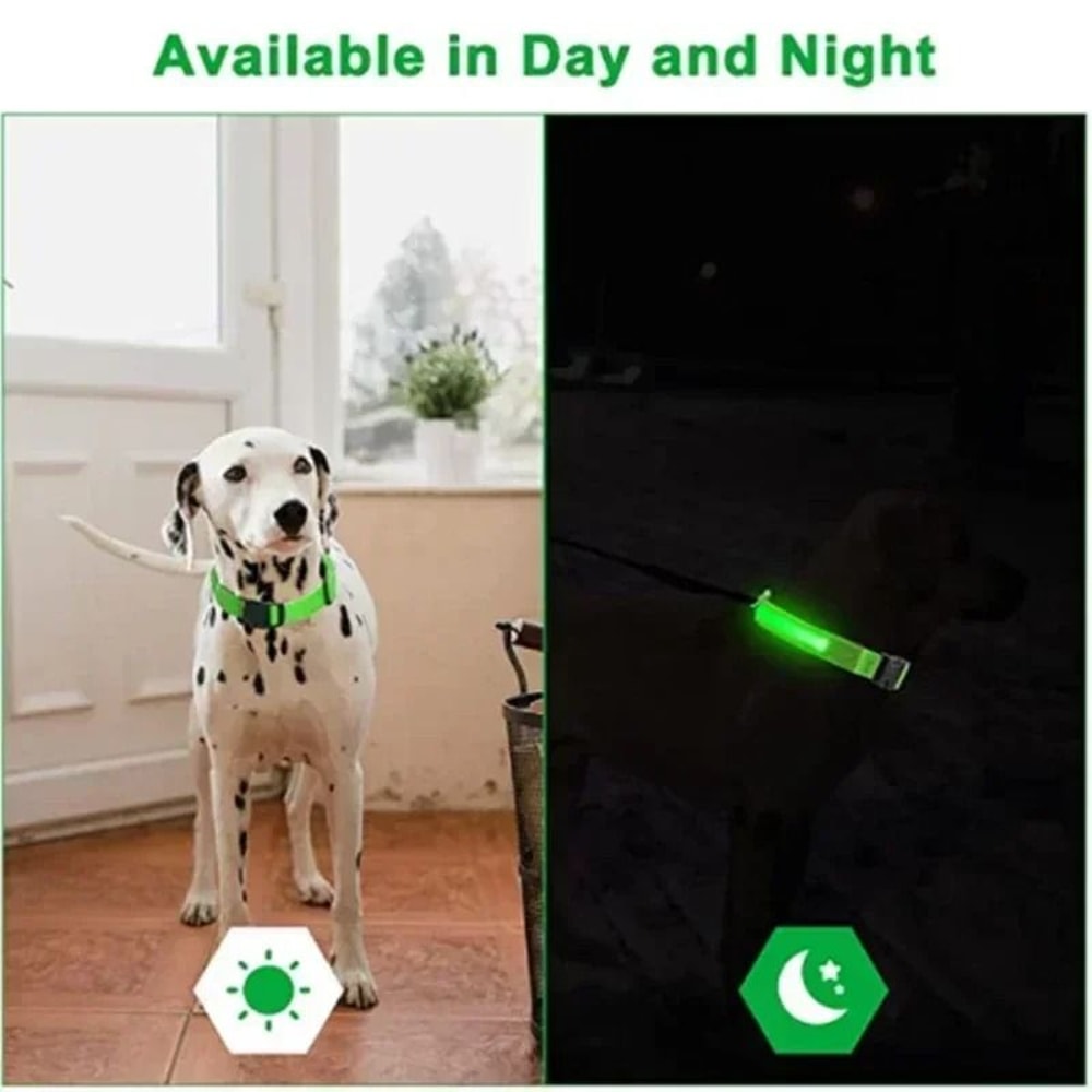 LED Glowing Dog Collar Adjustable Night Safety Luminous Collar 4
