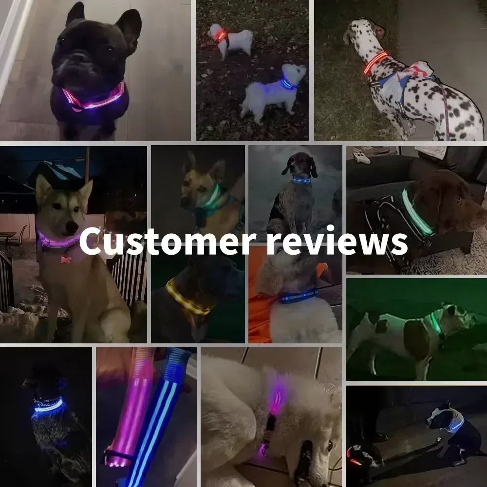 LED Glowing Dog Collar Adjustable Night Safety Luminous Collar 6