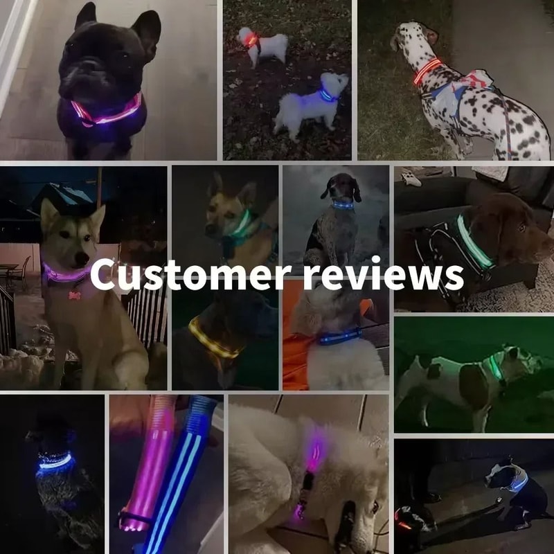 LED Glowing Dog Collar Adjustable Night Safety Luminous Collar 6