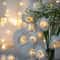 Whimsical Garden 10LED Rose Blossom Fairy Lights 6