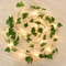 Enchanted Ivy LED Vine String Lights 1