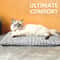 SelfWarming Thermal Pet Mat Heated Bed 3