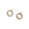 Simple Round Light Luxury Flashy Earrings 0
