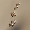 3Pair Classic Cubic Zirconia ScrewBack Stud Set 3