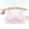 Plus Size Embroidery Lace PushUp Bra 6